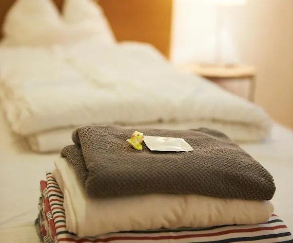Vandrarhem In Der Altstadt Nepomukb&b Innsbruck
